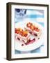 Zuppa Romana (Layered Sponge and Cream Dessert)-Peter Medilek-Framed Photographic Print