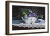 Zuppiera con Tazza-Danka Weitzen-Framed Giclee Print