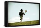 Framed Canvas