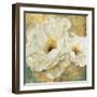 Zuzu Peony Gold II-Patricia Pinto-Framed Art Print