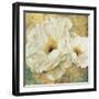 Zuzu Peony Gold II-Patricia Pinto-Framed Art Print