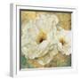 Zuzu Peony Gold II-Patricia Pinto-Framed Art Print