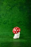 Cute Small Mushroom, Green Background-zveiger-Photographic Print