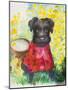 Zverg Schnauzer Dog-Oxana Zaika-Mounted Giclee Print