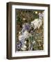 Zweig, Flechten , Pflanzen, Vegetation, Natur, Ast, Bewachsen-Thonig-Framed Photographic Print