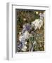 Zweig, Flechten , Pflanzen, Vegetation, Natur, Ast, Bewachsen-Thonig-Framed Photographic Print