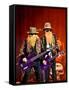 Zz Top-null-Framed Stretched Canvas