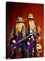 Zz Top-null-Stretched Canvas
