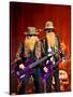 Zz Top-null-Stretched Canvas