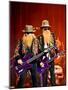 Zz Top-null-Mounted Photo