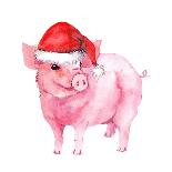 Cheerful Pig in Red Santa Hat. Watercolor for New Year 2019-zzorik-Stretched Canvas