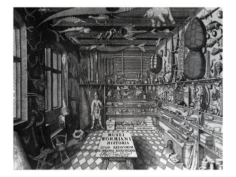 Frontispiece of Ole Worm's Cabinet of Curiosities from 'Museum
