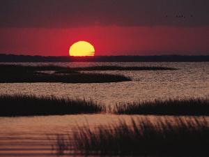 chincoteague island chatrooms Weather underground provides local & long range weather forecasts, weather reports, maps & tropical weather conditions for locations worldwide. chincoteague island chatrooms Weather underground provides local & long range weather forecasts, weather reports, maps & tropical weather conditions for locations worldwide.