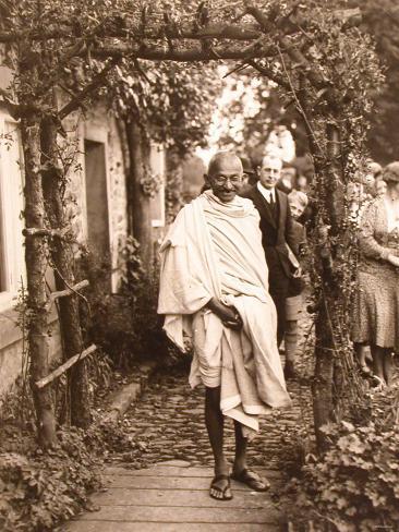 Image Result For Zitate Mahatma Gandhi Tiere Image Result For Zitate Mahatma Gandhi Tiere