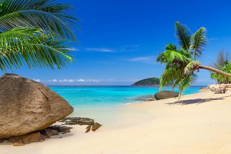 Tropical Beach Scenery In Thailand Fotoprint Van Patryk Kosmider Bij Tropical Beach Scenery In Thailand