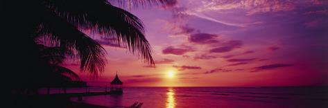 Sonnenuntergang, Palmen, Strand, Wasser, Ozean, Montego Bay, Jamaika ... Strand sonnenuntergang palmen
Strand sonnenuntergang palmen
Sonnenuntergang, Palmen, Strand, Wasser, Ozean, Montego Bay, Jamaika ...