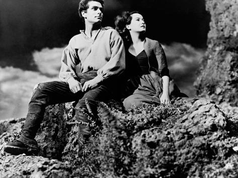 Wuthering heights door Emily Bront