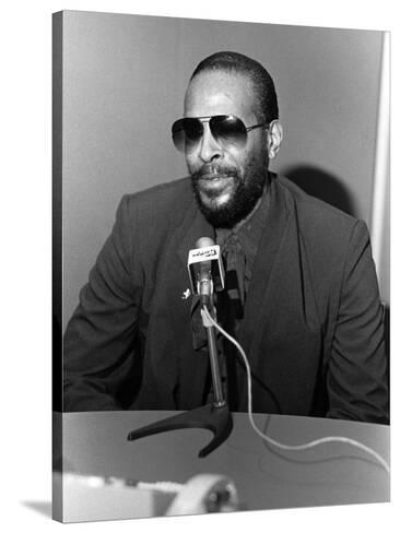 オールポスターズの ジェイムス ミッチェル marvin gaye 1984 写真