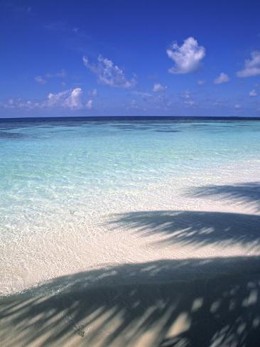 オールポスターズの ジョン アーノルド tropical beach at maldives