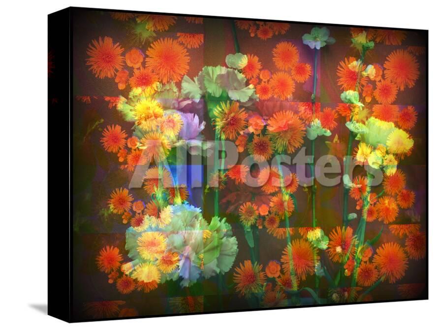 An Abstract Geometric Floral Montage Photographic Layer Work