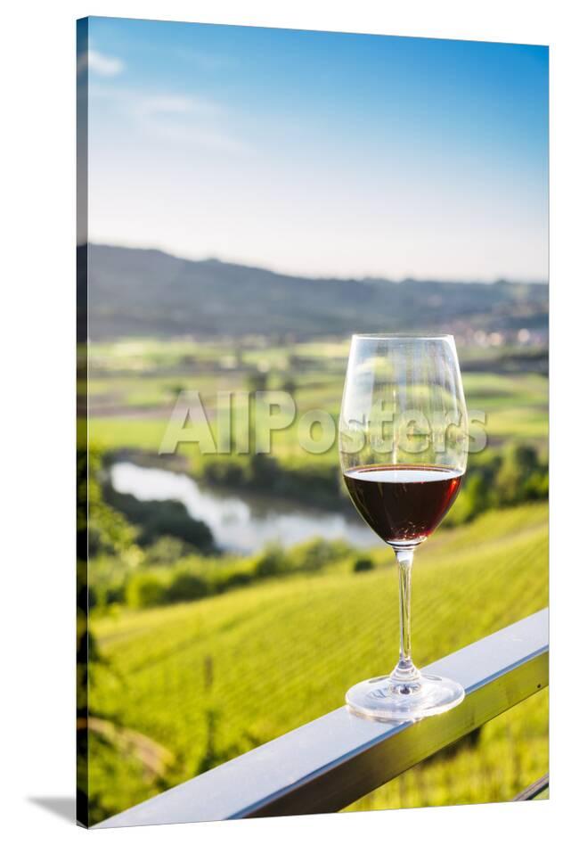 Single Wine Glass Above Vineyards Piedmont Italy Europe