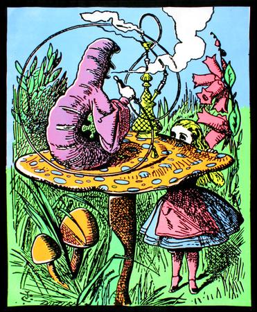 Alice in Wonderland Mushroom Caterpillar Blacklight ...