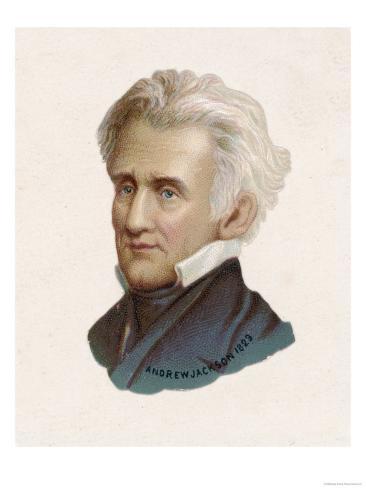 andrew jackson the 7th president of the united states of america essay andrew jackson the 7th president of the united states of america essay