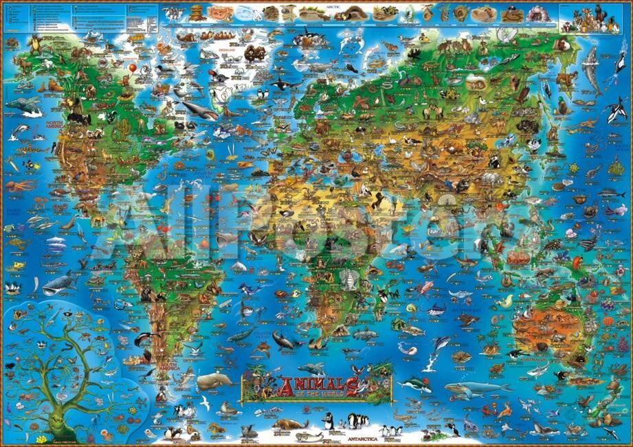 Animals Of The World Map Animals of the World Map Educational Poster' Prints   | AllPosters.com