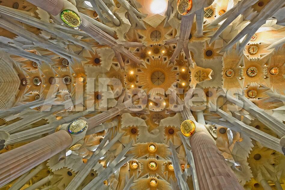 Architectural Detail Of Sagrada Familia Ceiling Barcelona
