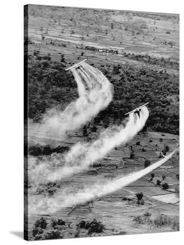 the use of agent orange in vietnam war essay About agent orange thesis statement: agent orange is a herbicide used in the vietnam war to clear foliage and enemy cover its effects are deep-rooted in history – a devastating scar engraved in the veterans and civilians of the war as well as mother nature herself agent orange i agent orange a chemicals b distribution c herbicides ii. the use of agent orange in vietnam war essay About agent orange thesis statement: agent orange is a herbicide used in the vietnam war to clear foliage and enemy cover its effects are deep-rooted in history – a devastating scar engraved in the veterans and civilians of the war as well as mother nature herself agent orange i agent orange a chemicals b distribution c herbicides ii.