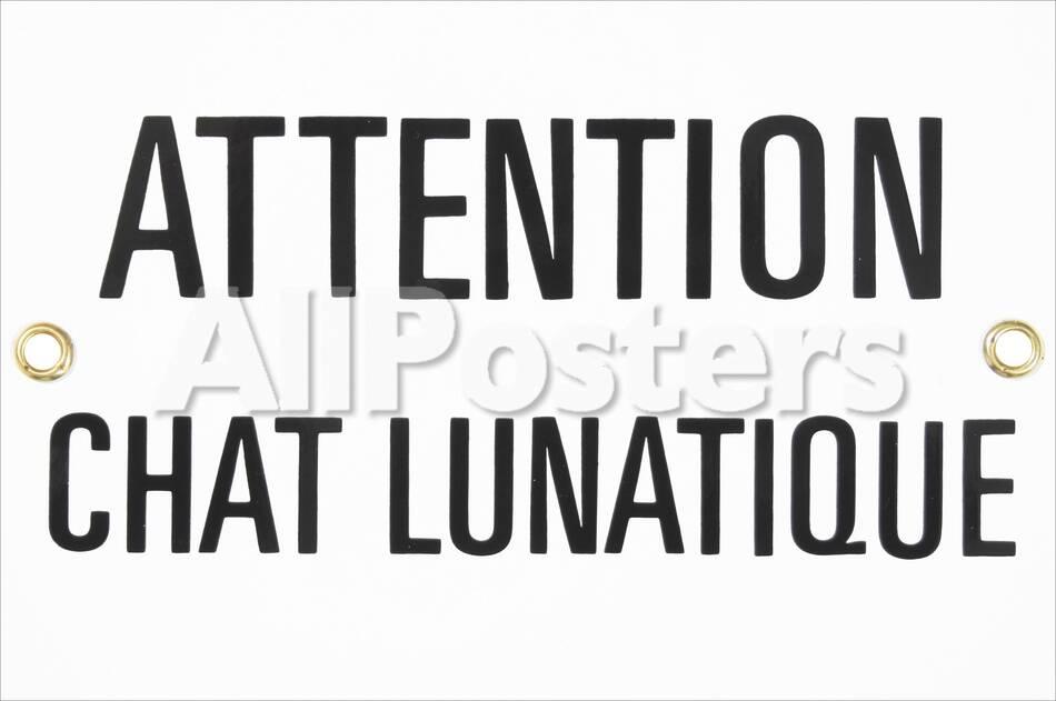 Attention Chat Lunatique Warning Crazy Cat Tin Sign Allposters Com Attention Chat Lunatique Warning Crazy Cat Tin Sign Allposters Com