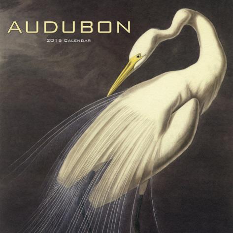 Audubon Birds Calendar 2019 Yrarconcheca - 