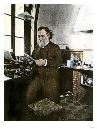 'Bacteriologist Elie Metchnikoff in His Laboratory' Giclee Print ...
