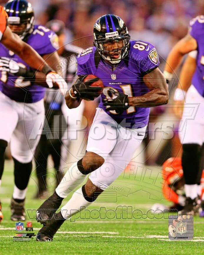 Baltimore Ravens Anquan Boldin Photo Photo Allposters Com Baltimore Ravens Anquan Boldin Photo Photo Allposters Com