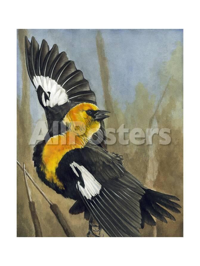 The Flirt Giclee Print Barbara Keith Allposters Com