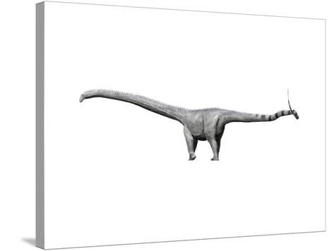 Barosaurus dinosaur art print Barosaurus dinosaur art print