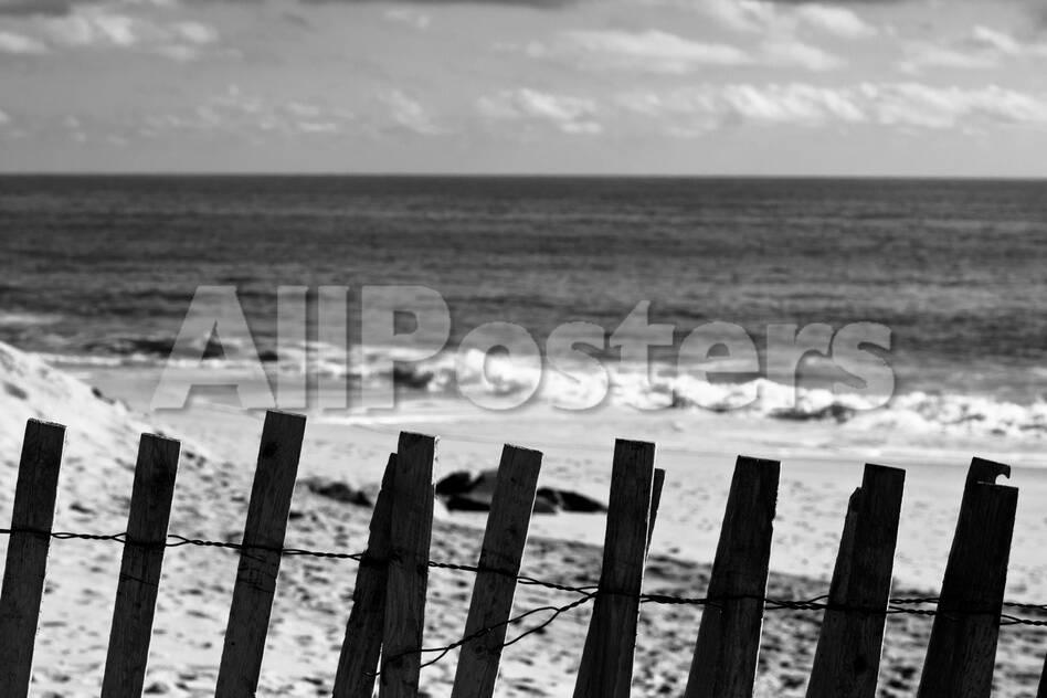 Black White Heatwaves Four Swimmers On Long Island Beach Black White Photo Poster Print
