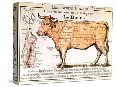 Beef: Diagram Depicting the Different Cuts of Meat Giclee ... beef diagram 