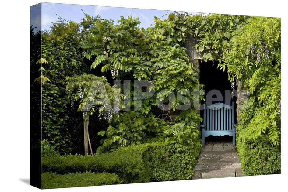 Bench In Wisteria Covered Garden Alcove Tony Ridler S Garden