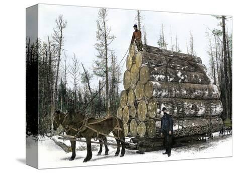 Big Load Of Logs On A Skidder In Michigan C 1880 Giclee big load of logs on a skidder in michigan c 1880 giclee