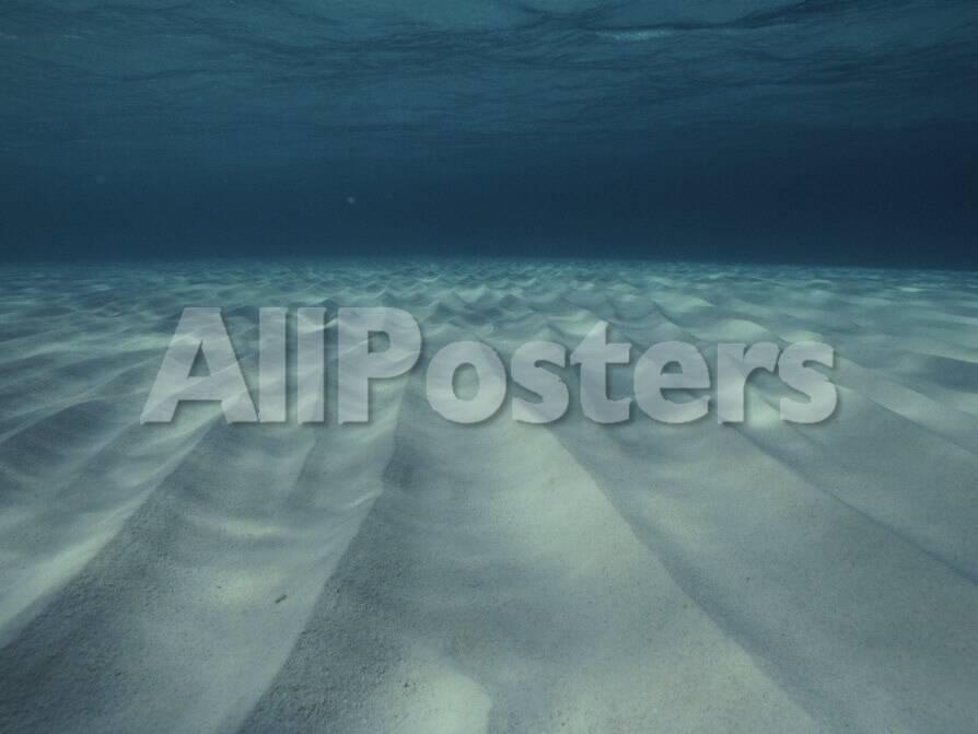 Current Sculpted Ripples In The Sandy Sea Floor Off Of Grand