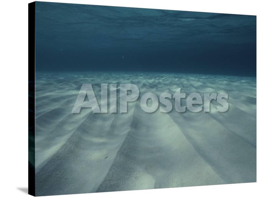 Current Sculpted Ripples In The Sandy Sea Floor Off Of Grand