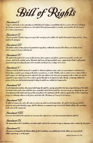 オールポスターズの bill of rights u s a アートポスター