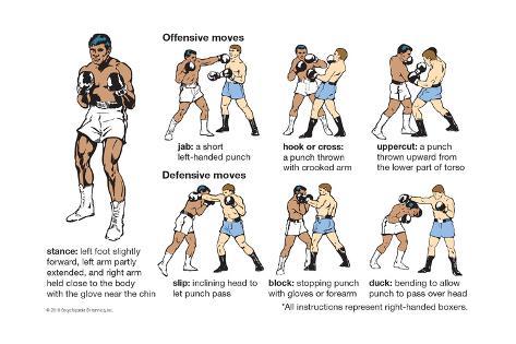 all boxing moves