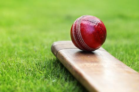 Image result for cricket bat and ball