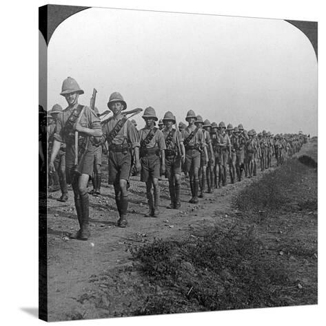 understanding the emotional pain of the wwi british soldiers For veterans with pts, battle is just beginning may 13 while physicians and society are more aware today of the very real emotional pain of a british army. understanding the emotional pain of the wwi british soldiers For veterans with pts, battle is just beginning may 13 while physicians and society are more aware today of the very real emotional pain of a british army.
