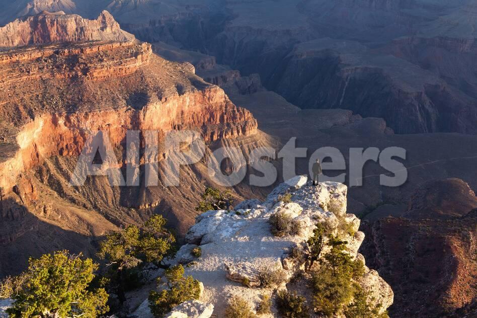 オールポスターズの catharina lux usa grand canyon national park