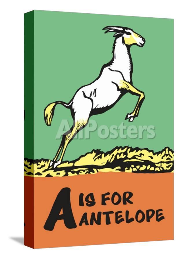 A Is For Antelope Prints Charles Buckles Falls Allposters Com