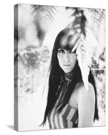 Cher Photo at AllPosters.com