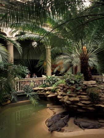 Reptile House at Forest Park, St. Louis Zoo, St. Louis, Missouri, USA Photographic Print by ...
